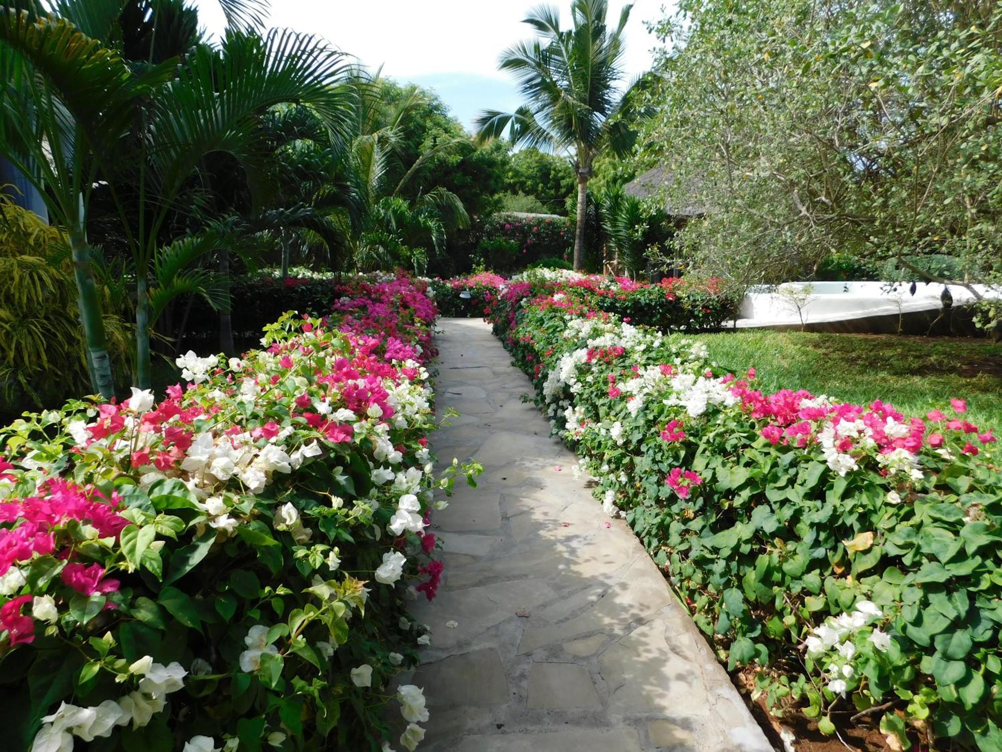 Dama Villa Watamu Exteriér fotografie